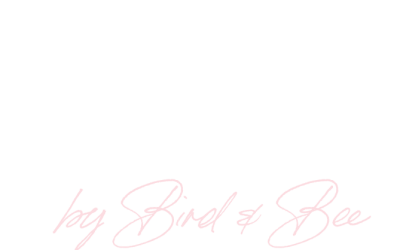 Canva & Social Media Essentials by Bird & Bee